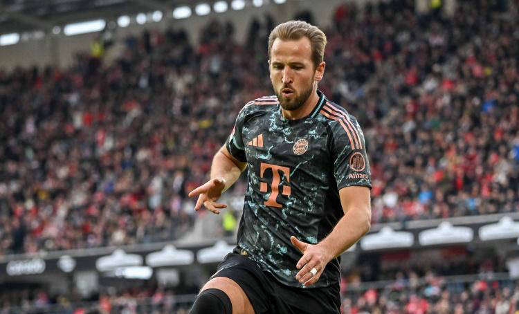 中的类似案 中的类似案