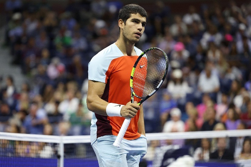 的组织水准 的组织水准