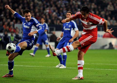 动健康发展 动健康发展